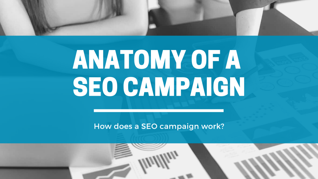 SEO Campaign Anatomy - Click Results - Blog - Featured Image